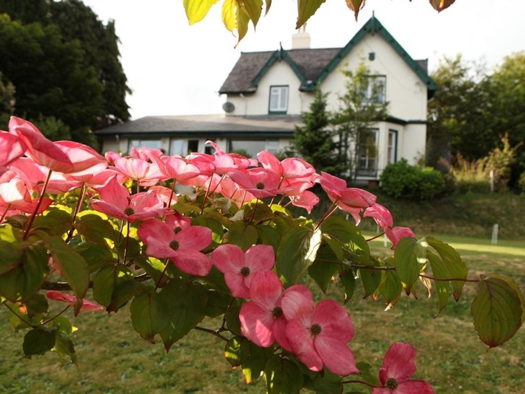 Robin Hill House Heritage Guest House Cobh Exterior foto