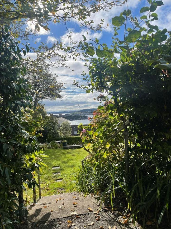 Robin Hill House Heritage Guest House Cobh Cameră foto