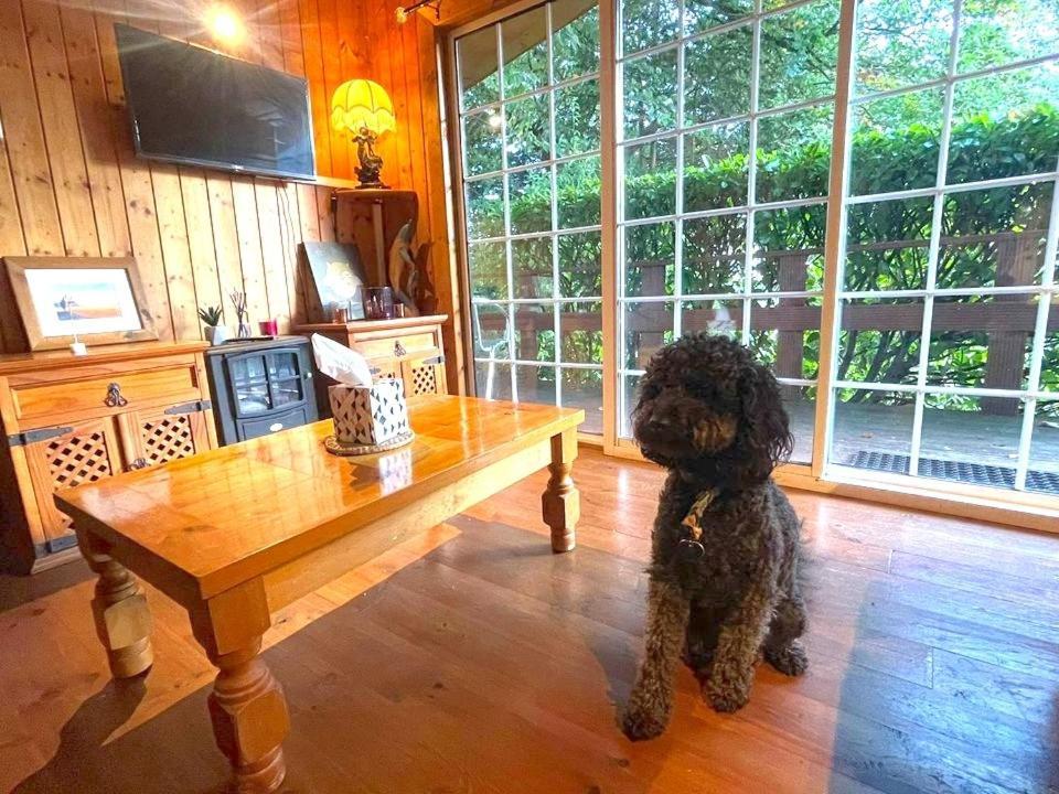 Robin Hill House Heritage Guest House Cobh Cameră foto